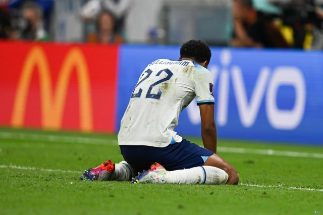 1670714163138054689.jpg yinggelan.jpg